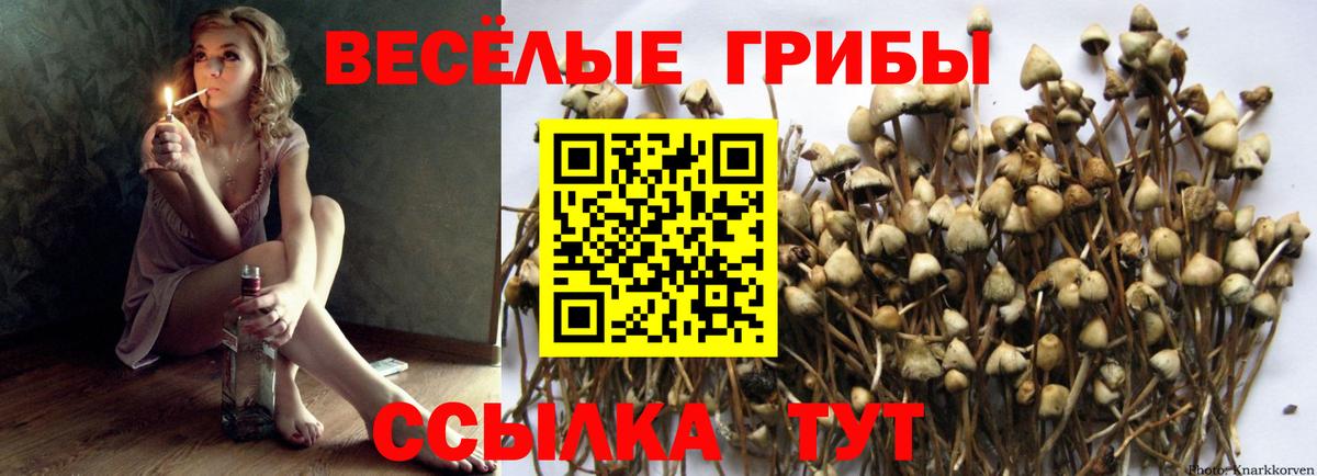 Псилоцибиновые грибы Cubensis  Вход с VPN  Лесозаводск 