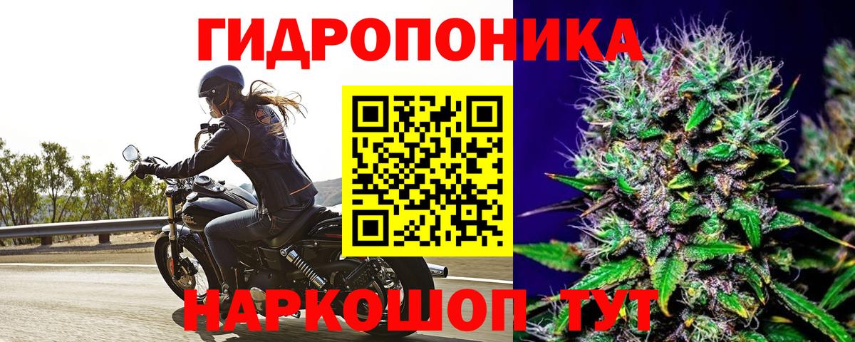 Меф Лесозаводск